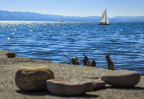Sicht auf den Bodensee vom Ufer